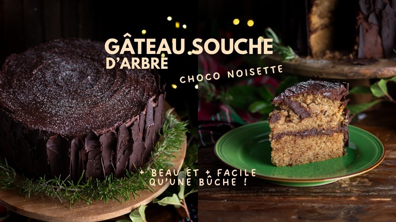 Pourquoi faire une bûche quand on peut faire un GÂTEAU SOUCHE D'ARBRE ?