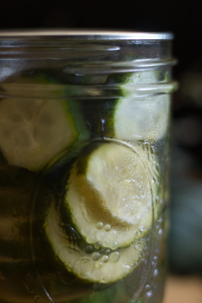 Pickles cornichons maison