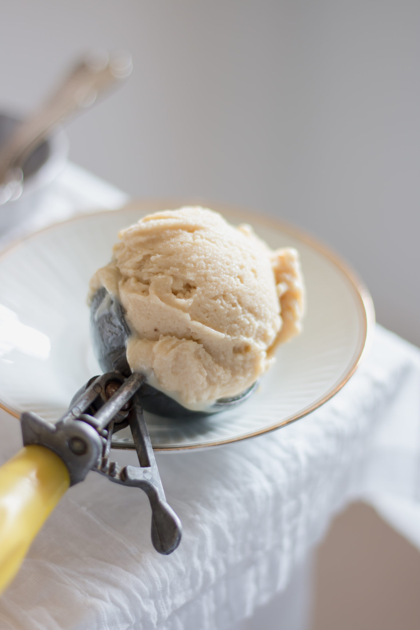Glace sorbetière vegan
