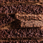 Barres crunch proteinees