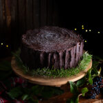 Gateau buche choco noisette